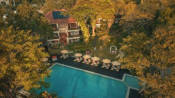 Birds and Bees Resort