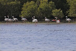Flamingo Beach Hotel