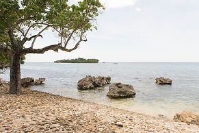 Mango Beach Studio