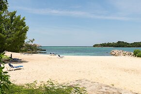 Mango Beach Studio