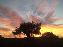 Centro de Naturaleza Cañada Verde