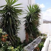 Athina Studios