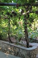 B&B Il Grappolo