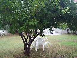 Pinus Otel
