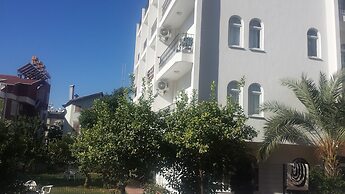Pinus Otel