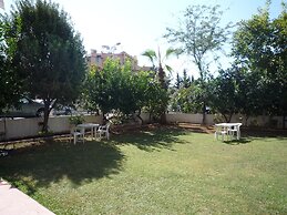 Pinus Otel