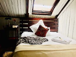 Harfield Guest Villa