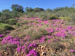 Calitzdorp Country House