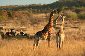 Makweti Safari Lodge