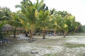 Silver Sand Neil