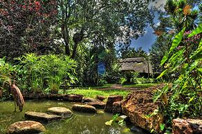 Amanzi Lodge