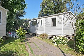 Camping International