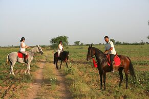 Mihir Garh