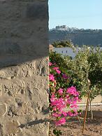 Villa Patmos Netia