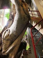 Shennong 147 Hostel