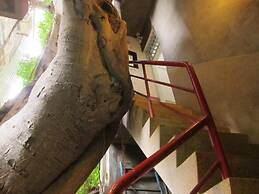 Shennong 147 Hostel