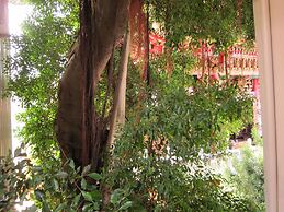 Shennong 147 Hostel
