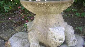 Cascata Del Bosco