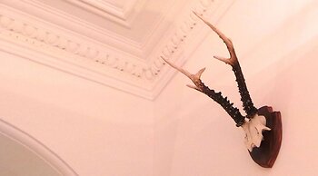 Antler Guest House