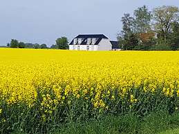 Roskilde B&B