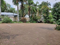 A Traveller's Palm
