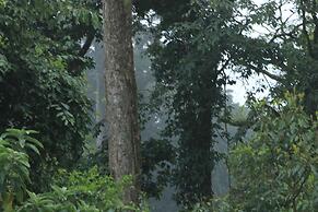 Hotel Bosque Verde Lodge