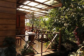 Hotel Bosque Verde Lodge