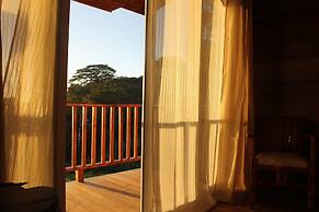 Hotel Bosque Verde Lodge