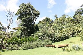 Hotel Bosque Verde Lodge