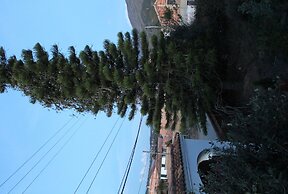 Hostal El Pino