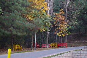 Chinar Family Resort