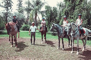 La Vie en Rose - Maison des chevaux