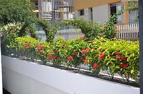 Alsol Las Orquideas