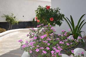 Alsol Las Orquideas