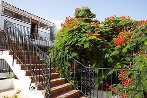 Alsol Las Orquideas