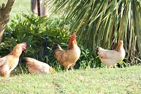 Eikelaan Farm Cottages