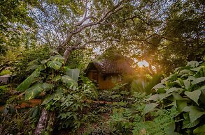 Distant Relatives Ecolodge & Backpackers