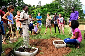 Distant Relatives Ecolodge & Backpackers