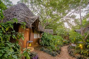 Distant Relatives Ecolodge & Backpackers