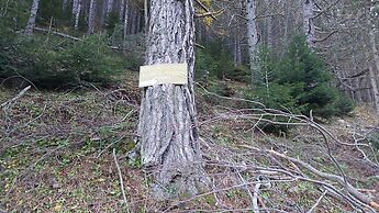 Dimatis