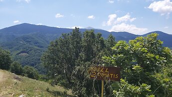 Dimatis