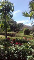 Jacaranda Lake Elementaita Lodge