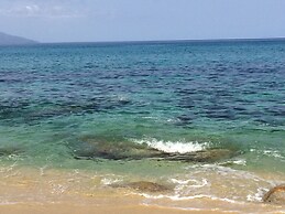 Marine Blue Yakushima