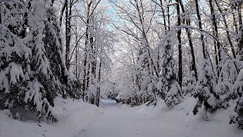 Lakewoods Resort & Lodge