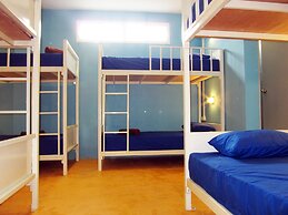 Treechart Hostel