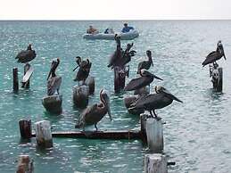 Posada Acuario