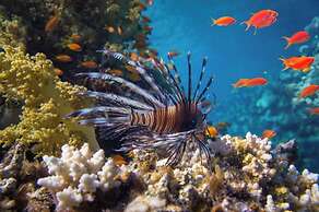 Posada Acuario