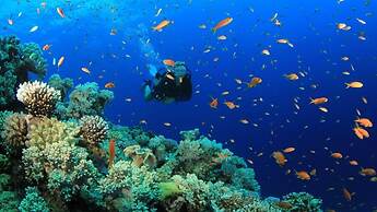 Posada Acuario