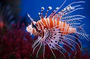 Posada Acuario