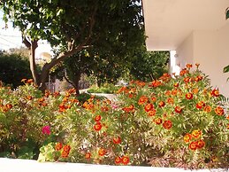Alexios Studios